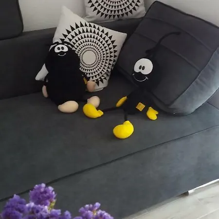 Ruza 斯瑞瑟尔